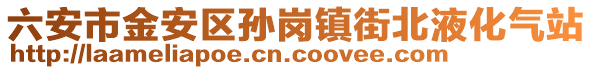 六安市金安區(qū)孫崗鎮(zhèn)街北液化氣站