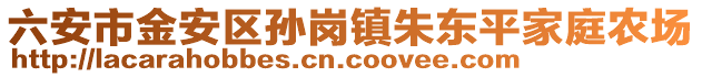 六安市金安區(qū)孫崗鎮(zhèn)朱東平家庭農(nóng)場