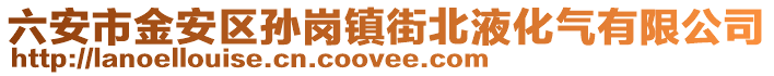 六安市金安區孫崗鎮街北液化氣有限公司
