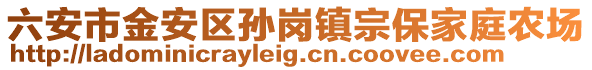 六安市金安區(qū)孫崗鎮(zhèn)宗保家庭農(nóng)場(chǎng)