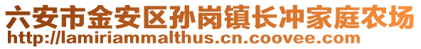 六安市金安區孫崗鎮長沖家庭農場