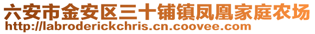 六安市金安區(qū)三十鋪鎮(zhèn)鳳凰家庭農(nóng)場(chǎng)