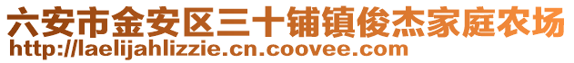六安市金安區三十鋪鎮俊杰家庭農場