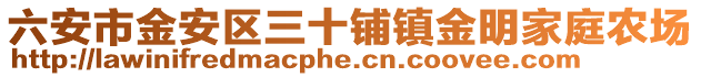 六安市金安區三十鋪鎮金明家庭農場