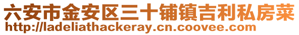 六安市金安區三十鋪鎮吉利私房菜