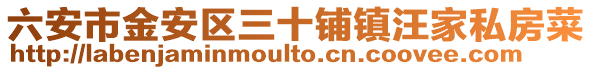六安市金安區三十鋪鎮汪家私房菜