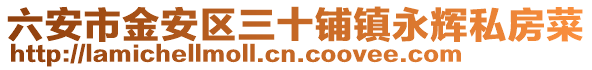 六安市金安區三十鋪鎮永輝私房菜