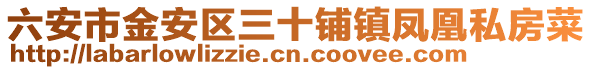 六安市金安區(qū)三十鋪鎮(zhèn)鳳凰私房菜