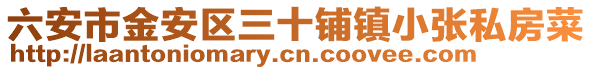 六安市金安區(qū)三十鋪鎮(zhèn)小張私房菜