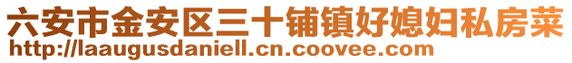 六安市金安區(qū)三十鋪鎮(zhèn)好媳婦私房菜