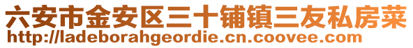 六安市金安區三十鋪鎮三友私房菜