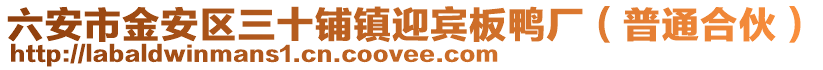 六安市金安區三十鋪鎮迎賓板鴨廠(普通合伙)