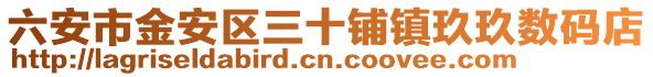 六安市金安區(qū)三十鋪鎮(zhèn)玖玖數(shù)碼店