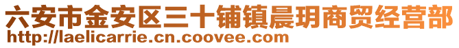 六安市金安區(qū)三十鋪鎮(zhèn)晨玥商貿(mào)經(jīng)營部