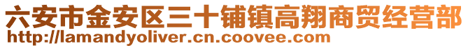 六安市金安區(qū)三十鋪鎮(zhèn)高翔商貿經(jīng)營部