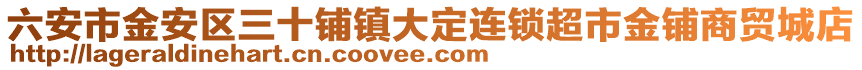 六安市金安區(qū)三十鋪鎮(zhèn)大定連鎖超市金鋪商貿(mào)城店