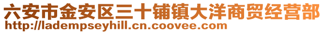 六安市金安區(qū)三十鋪鎮(zhèn)大洋商貿(mào)經(jīng)營(yíng)部