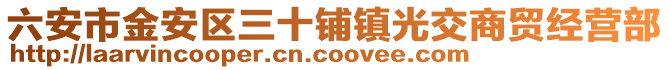 六安市金安區(qū)三十鋪鎮(zhèn)光交商貿(mào)經(jīng)營部
