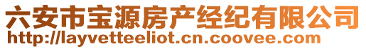 六安市寶源房產(chǎn)經(jīng)紀(jì)有限公司