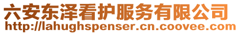 六安東澤看護服務有限公司