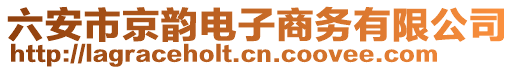 六安市京韻電子商務有限公司