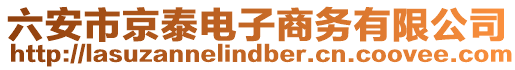 六安市京泰電子商務(wù)有限公司