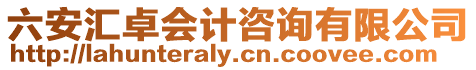 六安匯卓會(huì)計(jì)咨詢有限公司