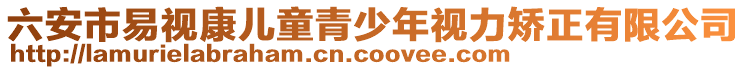 六安市易視康兒童青少年視力矯正有限公司