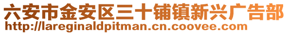 六安市金安區(qū)三十鋪鎮(zhèn)新興廣告部