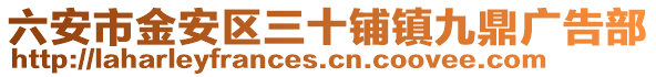 六安市金安區三十鋪鎮九鼎廣告部