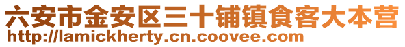 六安市金安區三十鋪鎮食客大本營