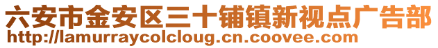 六安市金安區三十鋪鎮新視點廣告部