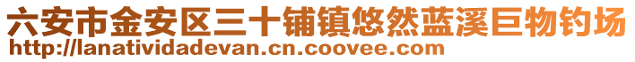 六安市金安區(qū)三十鋪鎮(zhèn)悠然藍溪巨物釣場