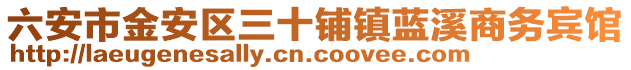 六安市金安區(qū)三十鋪鎮(zhèn)藍(lán)溪商務(wù)賓館