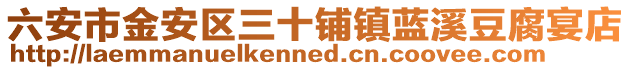 六安市金安區三十鋪鎮藍溪豆腐宴店