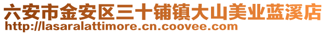 六安市金安區(qū)三十鋪鎮(zhèn)大山美業(yè)藍(lán)溪店