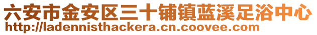 六安市金安區(qū)三十鋪鎮(zhèn)藍溪足浴中心