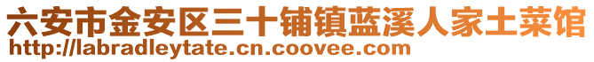 六安市金安區(qū)三十鋪鎮(zhèn)藍(lán)溪人家土菜館
