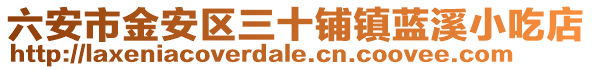 六安市金安區三十鋪鎮藍溪小吃店
