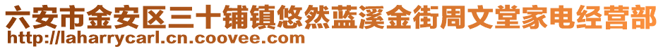 六安市金安區三十鋪鎮悠然藍溪金街周文堂家電經營部