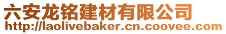 六安龍銘建材有限公司
