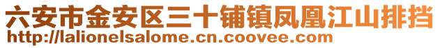 六安市金安區三十鋪鎮鳳凰江山排擋