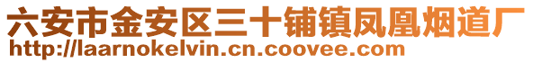 六安市金安區三十鋪鎮鳳凰煙道廠
