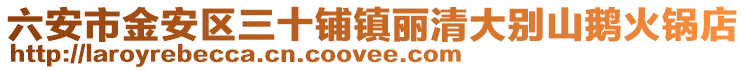 六安市金安區三十鋪鎮麗清大別山鵝火鍋店