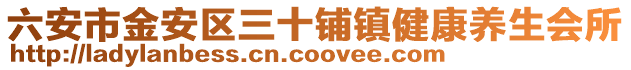 六安市金安區三十鋪鎮健康養生會所