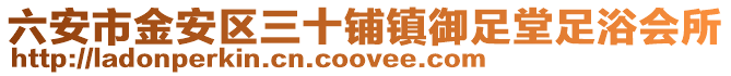 六安市金安區(qū)三十鋪鎮(zhèn)御足堂足浴會(huì)所
