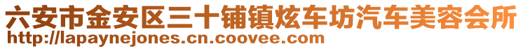 六安市金安區三十鋪鎮炫車坊汽車美容會所