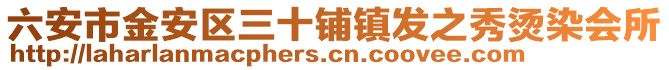 六安市金安區三十鋪鎮發之秀燙染會所