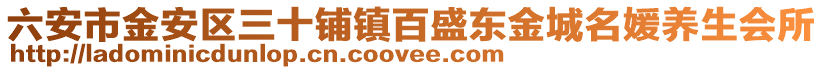 六安市金安區(qū)三十鋪鎮(zhèn)百盛東金城名媛養(yǎng)生會所