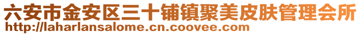 六安市金安區三十鋪鎮聚美皮膚管理會所